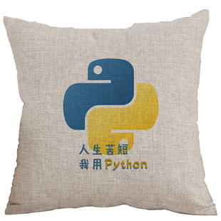 程序员神器礼物人生苦短我用Python杯子码农骨瓷代码IT男生日周边