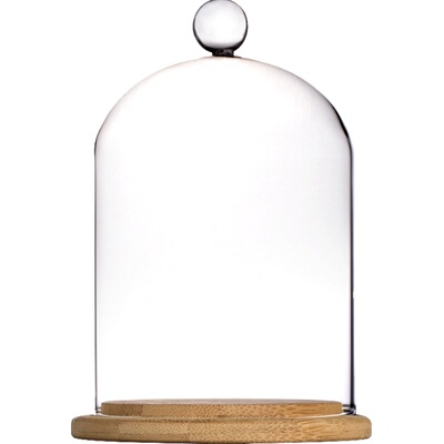 非非玻璃保鲜罩盖陶瓷底座甜品