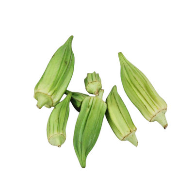 大卫之星秋葵种子鲜嫩耐储存