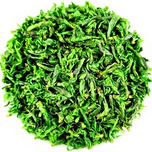 2026余庆野生特级小叶苦丁茶新茶