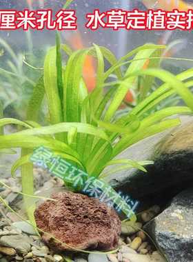水草定植环大孔径红色鱼虾躲避洞水草沉底固定种植精品火山石定植