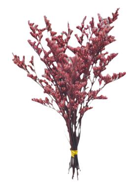 情人草永生花短枝手工DIY材料包