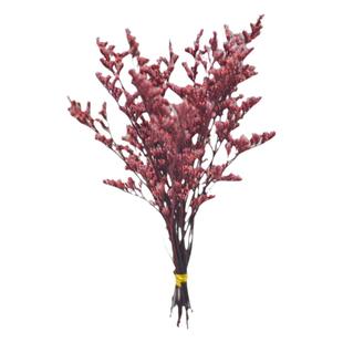 短枝情人草永生花束天然混搭干花包手工玻璃置压花材料包装饰摆件