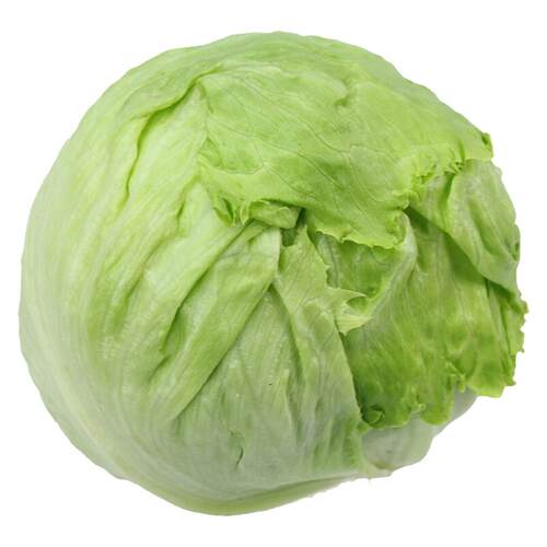 新鲜球生菜500g圆生菜球西餐汉堡即食沙拉食材火锅配菜 顺丰速运