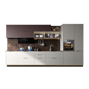 博洛尼全屋定制套包厨房餐客厅浴室卧室定制定制订金秘境雪山