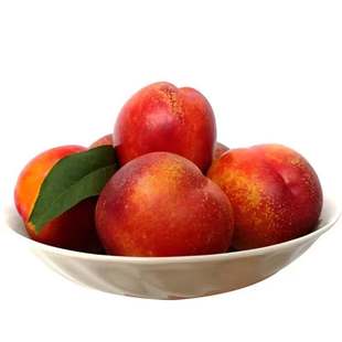 自家果园祥庭谷5斤装山西新绛油桃现摘脆甜黄油桃新鲜水果(售完)