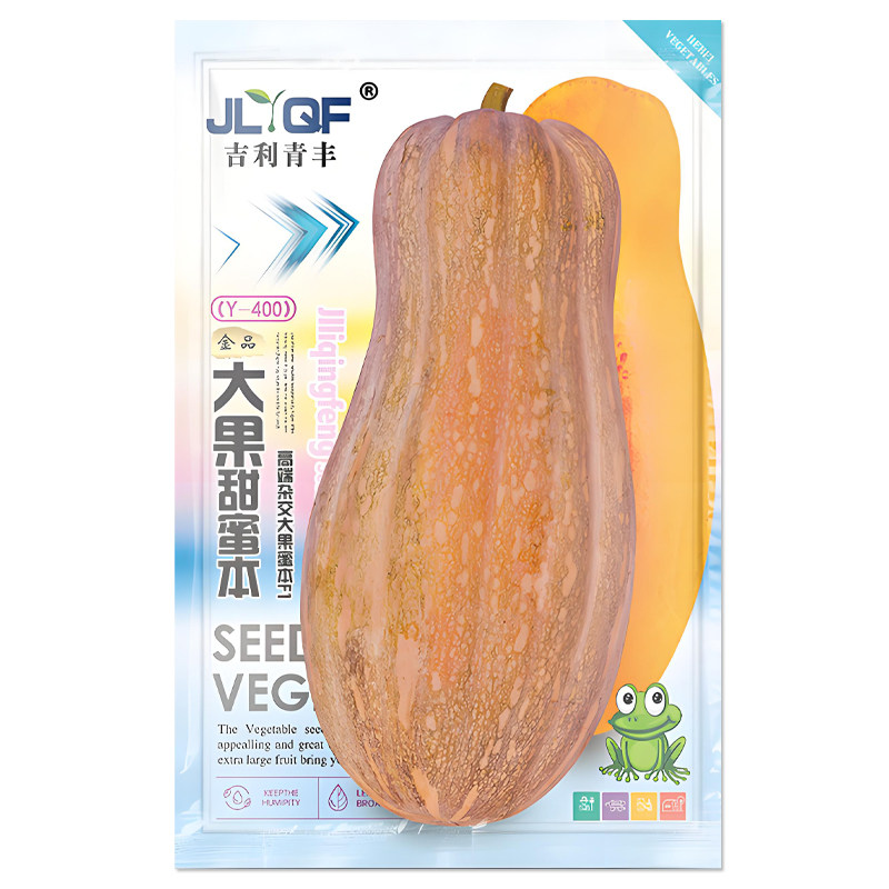 大果甜蜜本南瓜种子黄皮南瓜