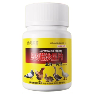 兽药急救一片活鸡鸭感冒拉稀咳嗽药禽类鸡药大全特效消炎恩诺沙星