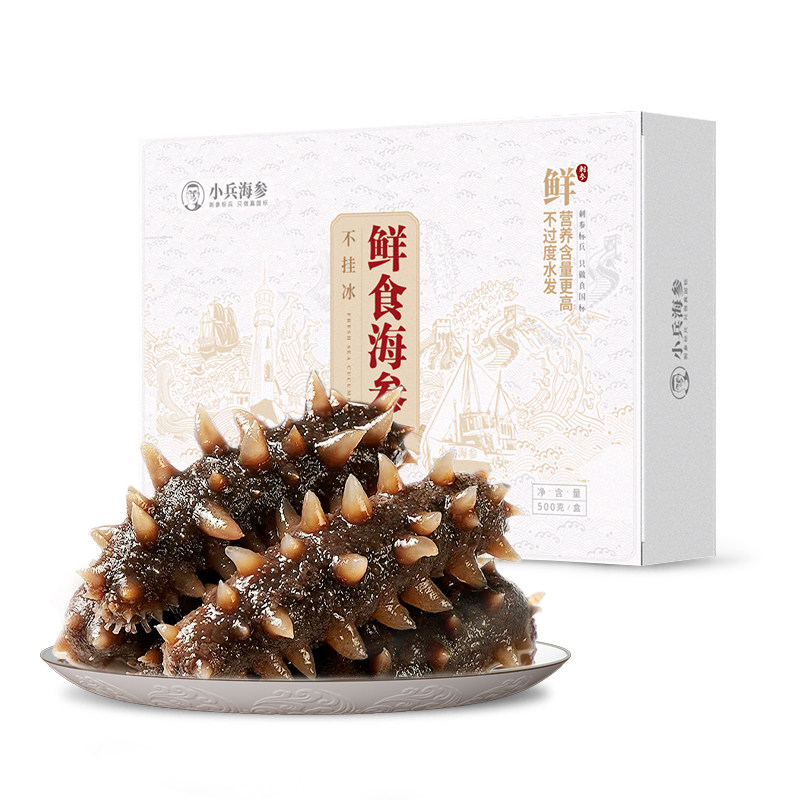 小兵海参辽刺参鲜食海参高营养