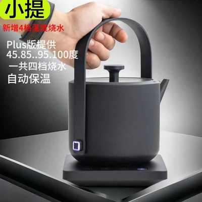 小提汀壶中式全自动电热水壶家用不锈钢提梁烧水壶泡茶专用茶艺壶
