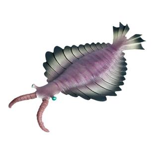 儿童认知玩具仿真海洋海底动物模型摆件寒武纪远古生物奇虾鹦鹉螺