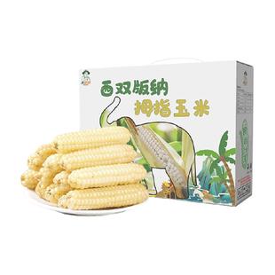 禾咕咕西双版纳拇指小糯玉米白糯玉米1kg礼盒装年货玉米儿童玉米
