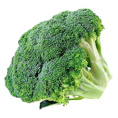 西兰花种子西蓝花菜种孑有机松花菜种籽花椰菜绿色花菜种四季蔬菜