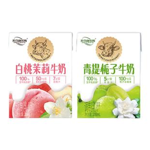 光合颜究所青提栀子牛奶荔枝白桃桂馥花果香早餐奶200ml盒装牛奶