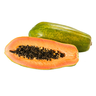 红心红妃木瓜种子苗海南耐寒番木瓜种籽孑矮生木瓜种苗庭院种植秧