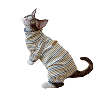 GINGERAIN 外出打底衫德文猫无毛猫衣服条纹四腿高领纯棉卫衣