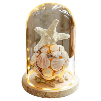 掬涵玻璃罩摆件发光底座带灯防尘