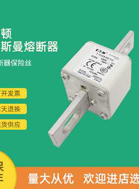 议价全新快速熔断器保险170M4658 170M4659 170M4660 170M4661