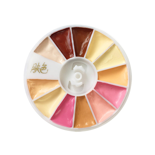 水彩颜料肉色12色分装肤色固彩半块美利蓝梵高荷尔拜因 人像皮肤