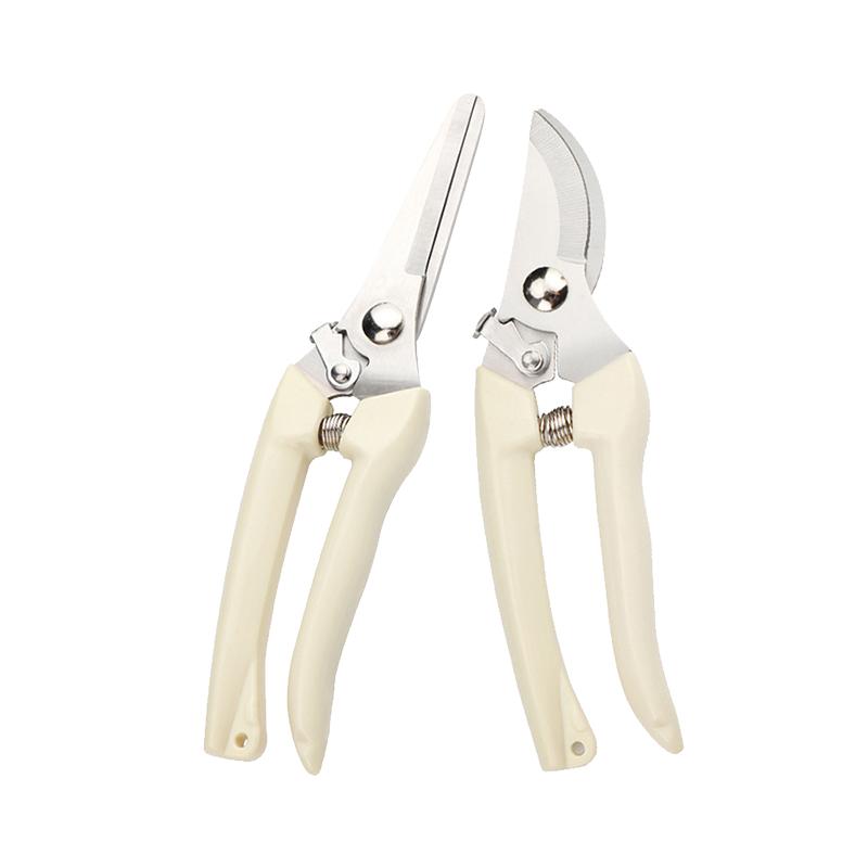 ˳����� ��֦���� ԰�ֻ����޼���֦�� ���������� ԰�ռ��� 12.22Ԫ