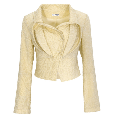 BLANCORE肌理面料解构修身上衣