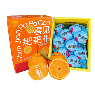青藤社春见耙耙柑四川爆浆柑橘整箱7斤精美礼盒当季新鲜水果包邮
