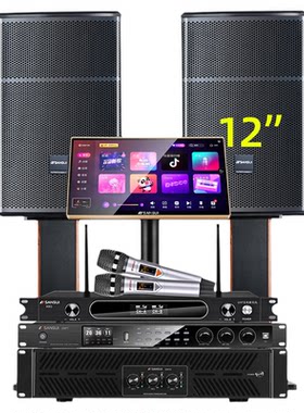 山水SQ12专业ktv演出家庭音响