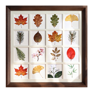 树叶标本相框手工diy创意收集落叶捡秋装饰空框宫格24 30格子画框