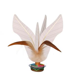 毽子运动专用毽球踢毽子键子耐踢成人比赛儿童小学生大白腱健踺子