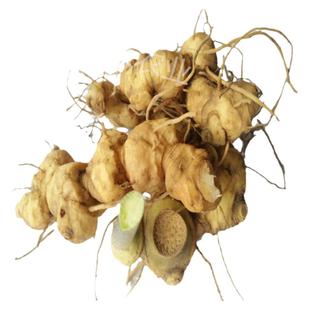 贵州新鲜黄精中药材 黔黄精滇黄精仙人余粮戊己芝米脯救穷草500克