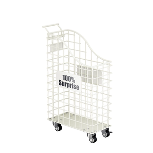 瑜伽垫收纳筐带轮家用羽毛球拍收纳架球类置物架健身运动器材收纳