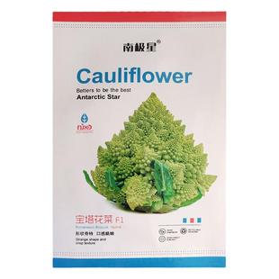 宝塔菜花椰菜蔬菜种子苗特色菜花花菜孑四季籽种蔬菜种籽秧菜籽