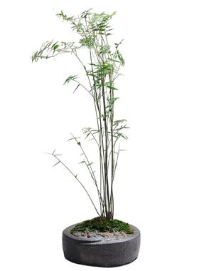 陈设中国风茶室案头摆件底座装饰