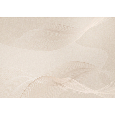 新款入户门地垫奶油风轻奢高级简约地毯门垫家用意式防滑脚垫定制