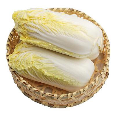 云南高山娃娃菜时令蔬菜新鲜现摘