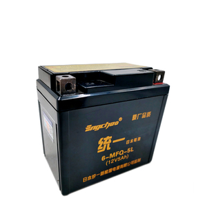 统一摩托车电瓶12V通用MTX5L-BS免维护巧格i天剑飞致150福喜as125