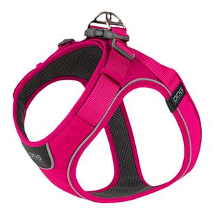 QZee哥本哈根防爆冲狗狗Go胸背带DOG Copenhagen柴犬边牧牵引绳