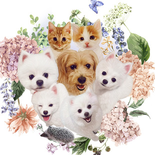 手绘宠物头像狗狗猫咪宠物转手绘Q版卡通写实高端定制肖像画像