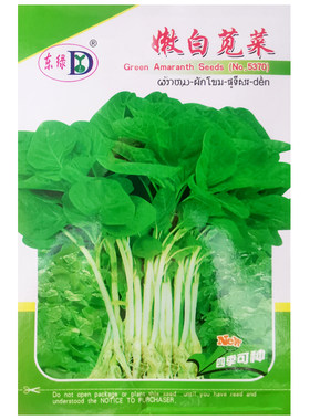 嫩白苋菜种子青绿汉菜种籽