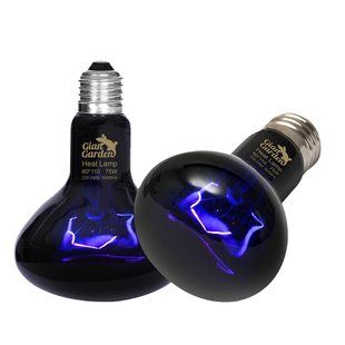 giangarden巨人爬宠加热夜灯爬虫鬃狮蜥蜴夜光加热灯控温夜灯爬宠