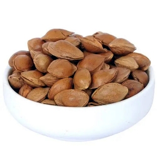 25年新货新疆轮台特产豪霞利克手剥开口风味小白杏核奶油味小银杏