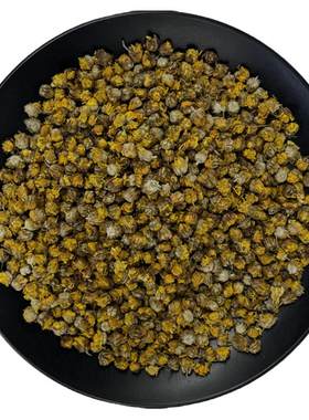 黄山野菊花新货冷库保鲜中药材