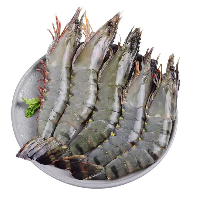 特大黑虎虾鲜甜新鲜印度