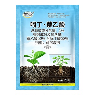 吲丁萘乙酸生根壮苗蘸根灌根移栽扦插提高成活率生根液生长调节剂