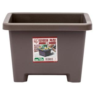 爱丽思花盆种球圆形花卉朱顶红盆栽植物爱丽丝球根盆阳台塑料树脂