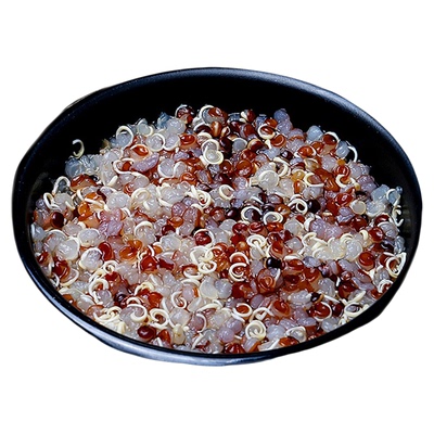 玻利维亚大粒三色藜麦米600g麦粥