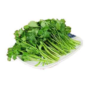 耐热四季速生香菜种子三天出大叶芫种籽农家阳台盆栽