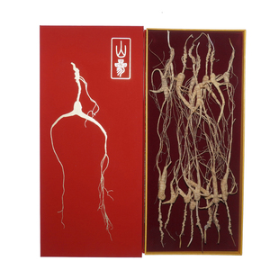 高年份老山参 林下山参东北长白山泡酒炖汤礼盒朱洪达人参之道