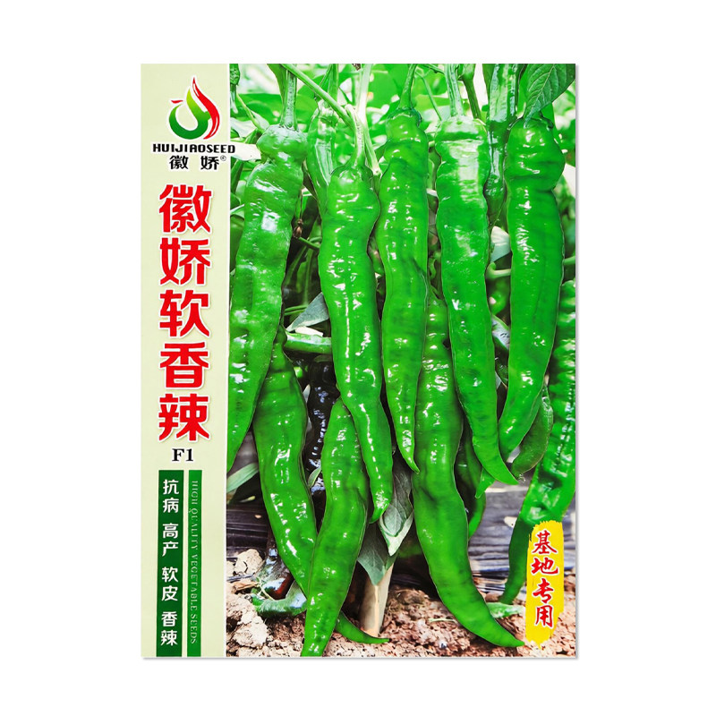 徽娇软香辣辣椒种子尖椒