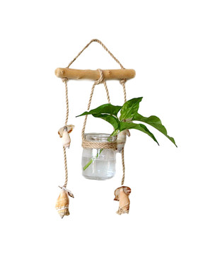 ins创意水培植物壁挂玻璃装饰